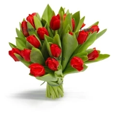 Send a bouquet of red tulips to Sofia, Plovdiv.