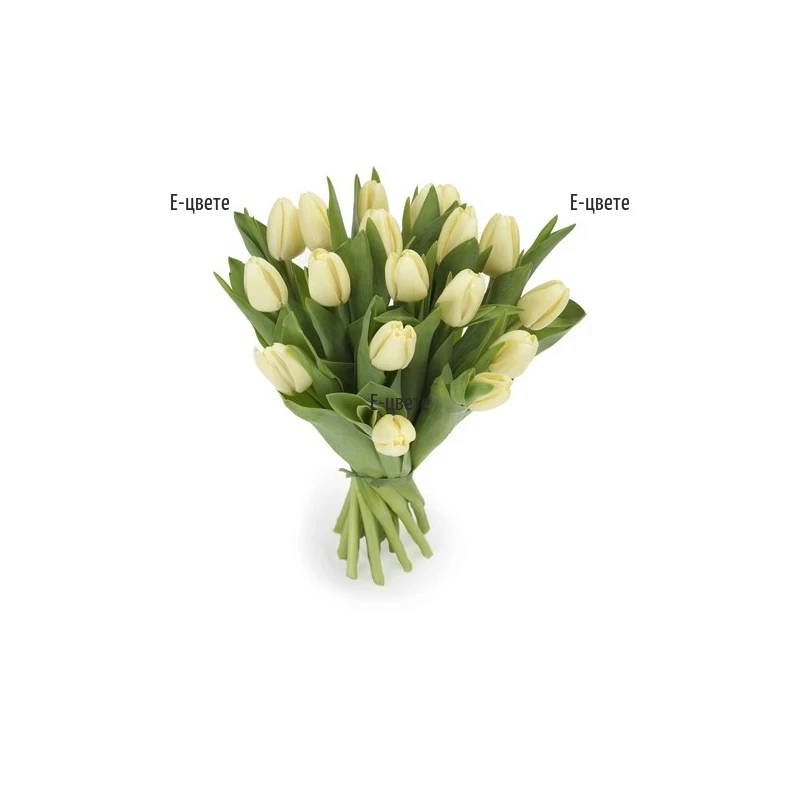 Send bouquets of white tulips in Sofia