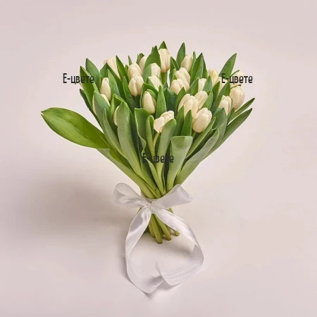 Send bouquets of white tulips in Sofia