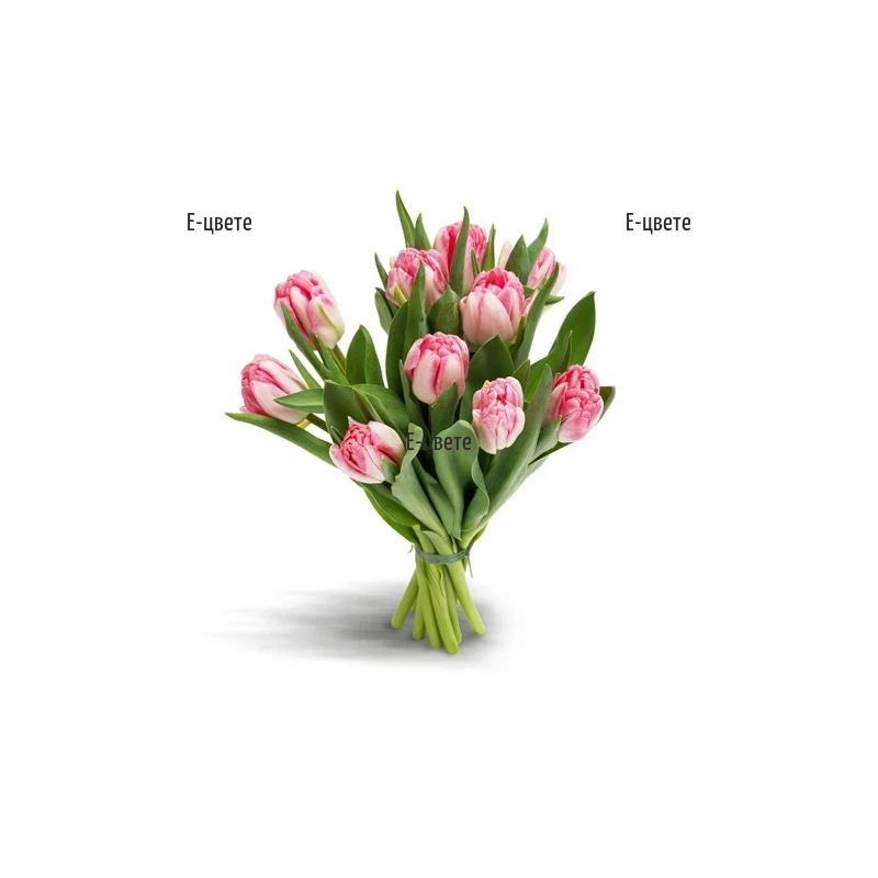 Send bouquets of tulips for St Valentines Day and 8th March.