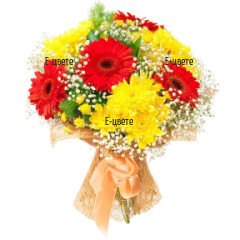 Send summer flowers and bouquets to Pleven.