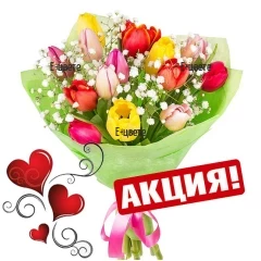 Send a bouquet of tulips to Sofia.