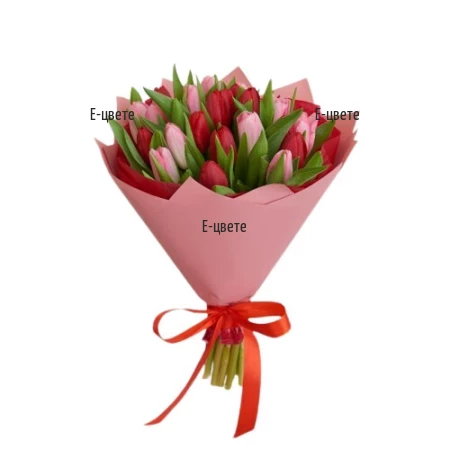 Send a bouquet of red and pink tulips.