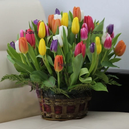 Send a basket with tulips to Sofia, Burgas, Varna, Plovdiv.