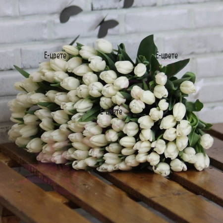 Send a bouquet of 101 white tulips to Sofia, Plovdiv, Varna, Burgas