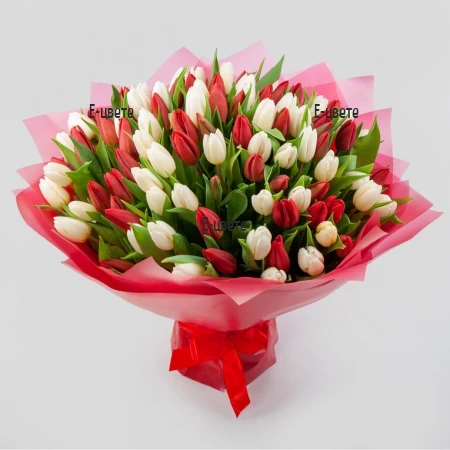 Send a bouquet of 101 red and white tulips.