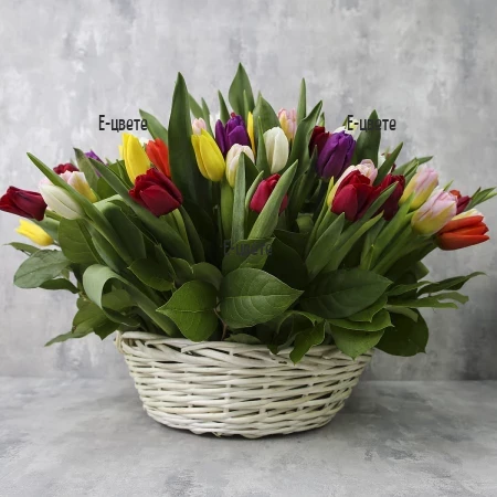 Send a basket with 101 tullips by courier.