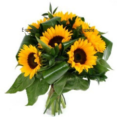 Delivery of Bouquet of Sunflowers
