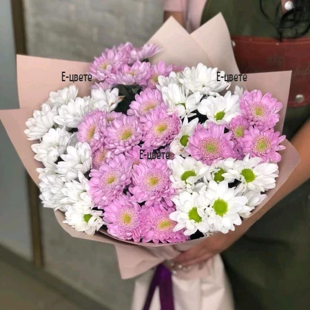 Delivery of Bouquet of Crysanthemums - White and pink