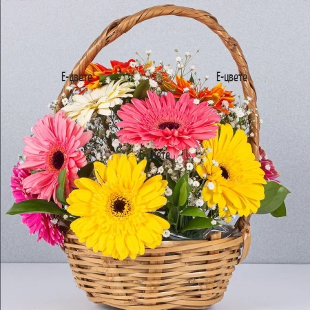 Send a basket with flowers to Plovdiv, Varna, Burgas, Sofia