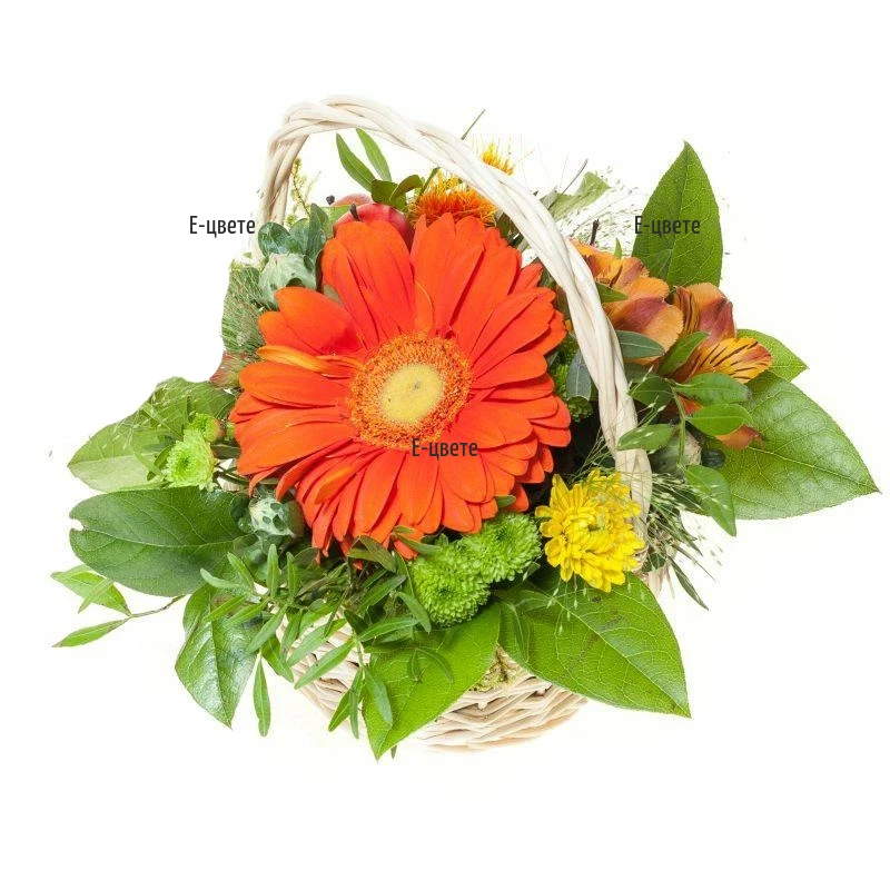 Send a basket with flowers to Plovdiv, Varna, Burgas, Sofia