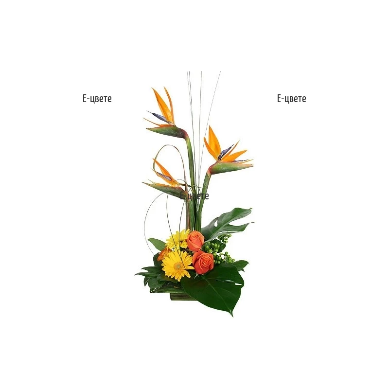 Send flower arrangement of strelitzias, roses and greenery.