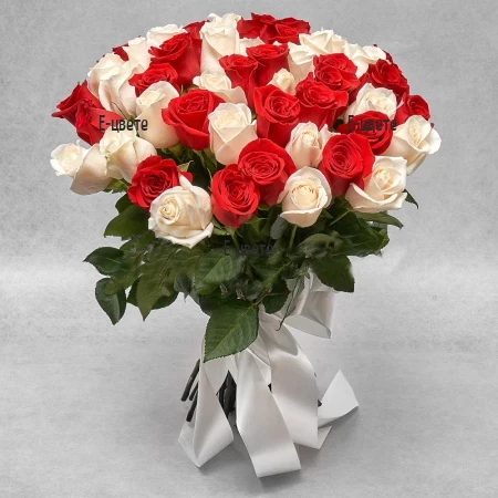 Send a bouquet of 51 red and white roses to Sofia.