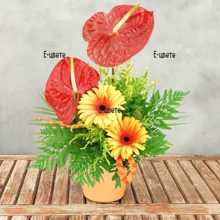 Send a bouquet - Exotic summer