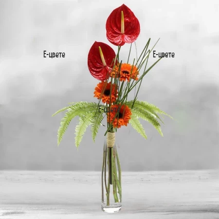 Delivery of Bouquet - Gerberas and Anthurium