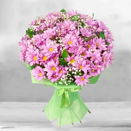 Send a bouquet of pink chrisanthemums to Sofia.