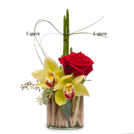 Send an arrangement of orchids in glass container.