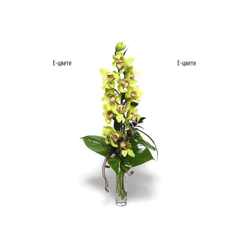Доставка на букет от орхидея с куриер в София