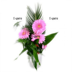 Bouquet of 3 Pink Gerberas