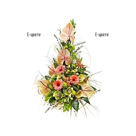 Send an arrangement of exotic flowers - orchids, gerberas, anthuriums