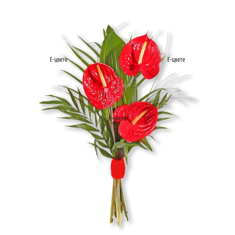 Bouquet of Red Anthuriums
