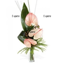Букет от антуриуми и зеленина, доставка на цветя Бургас