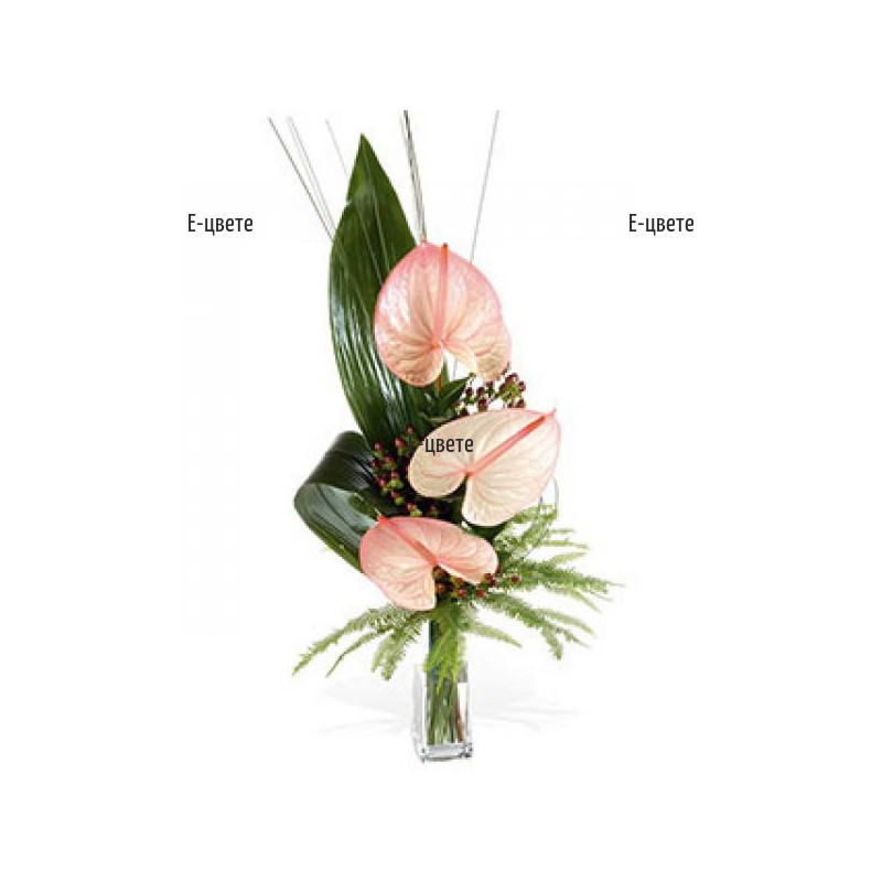 Букет от антуриуми и зеленина, доставка на цветя Бургас