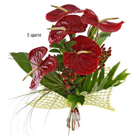 Delivery of Bouquet Anthuriums and Greens
