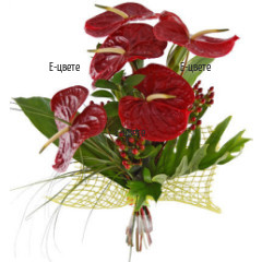 Delivery of Bouquet Anthuriums and Greens