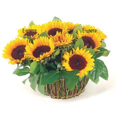 Send a basket with sunflowers and greenery.