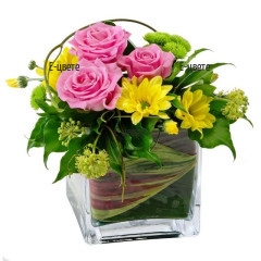 Send an arrangement with roses and chrysanthemums to Sofia.