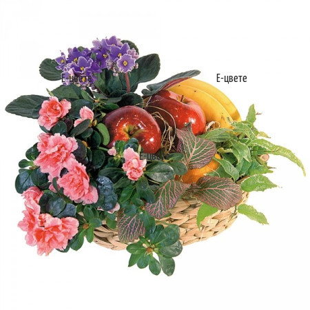 Send a basket with fruits and potted plants.