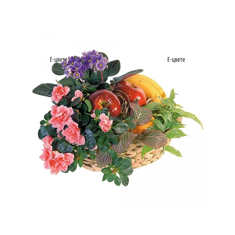 Send a basket with fruits and potted plants.