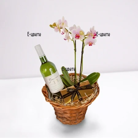 Send a basket with orchid plant and giftd to Burgas