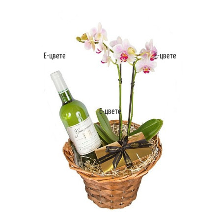 Send a basket with orchid plant and giftd to Burgas