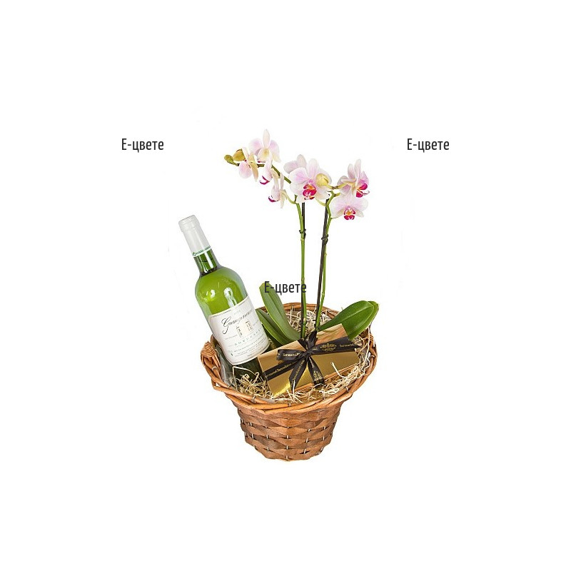 Send a basket with orchid plant and giftd to Burgas
