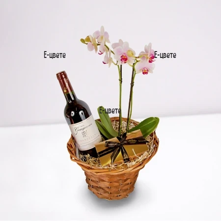 Send a basket with orchid plant and wine to Plovdiv,