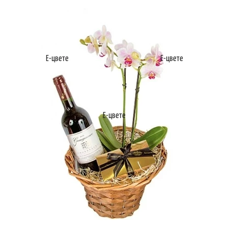 Send a basket with orchid plant and wine to Plovdiv,