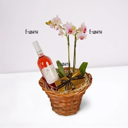 Send a basket with orchid plant and gifts to Sofia