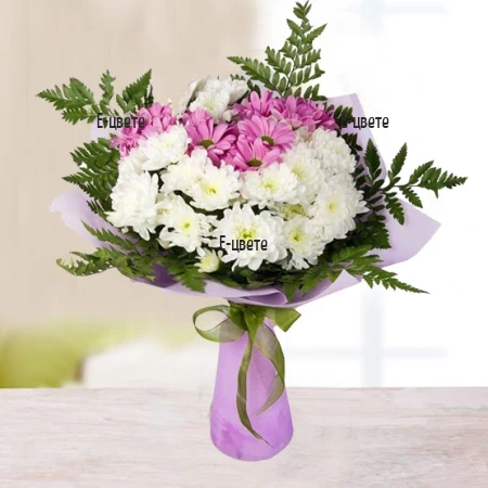 Bouquet of White and Pink Chrysanthemums