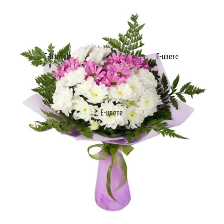 Bouquet of White and Pink Chrysanthemums