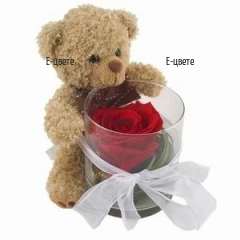 Send Teddy bears and roses for the St Valentine's day.