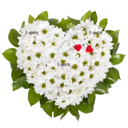 Send flower arrangement - a heart of white chrysanthemums  to Sofia, Varna, Burgas, Ruse.