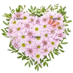 Heart of pink chrysanthemums