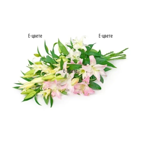 Handful of Lilies Funeral Flowers Delivery