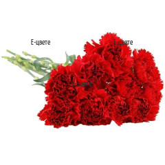 Red Carnations Funeral Flowers Delivery
