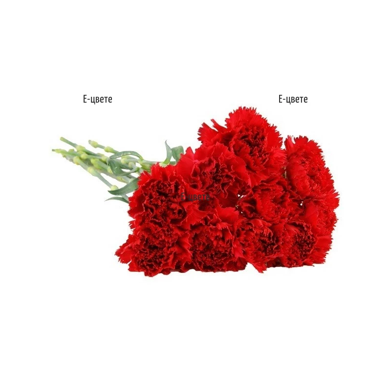 Red Carnations Funeral Flowers Delivery