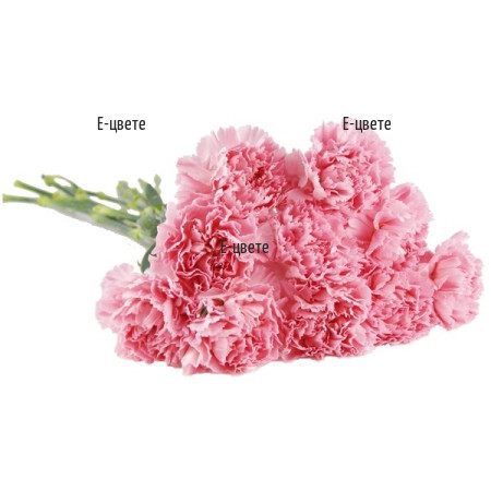 Pink Carnations Funeral Flowers Delivery
