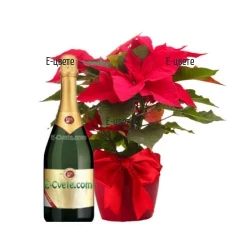 Send a Poinsettia and sparkling wine