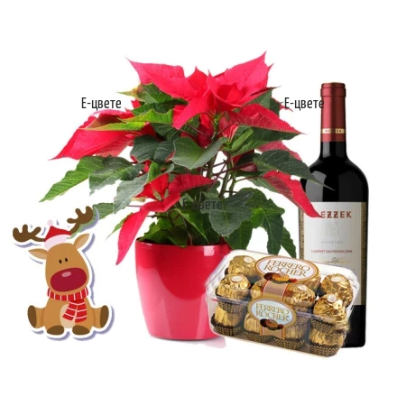 Sens Poinsettia in combination with wine and chocolates.